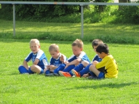 2013_06_07_bambinispieltag-in-nellingen_05