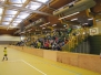 2014_01_03_F1_Turnier_Steinheim