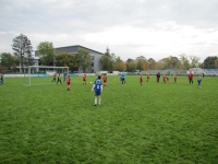 2014_10_11_F-Jugend-Spieltag_FC_Langenau_014