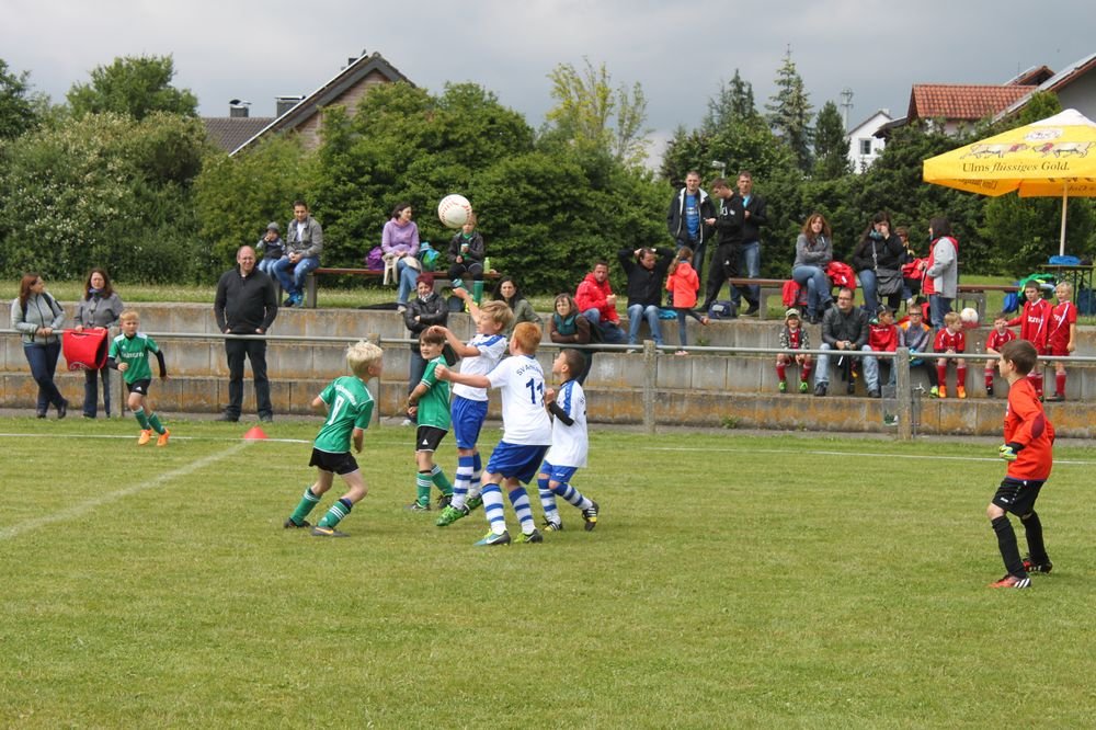 2015_06_20_F-Jugend-Spieltag_Asselfingen_025