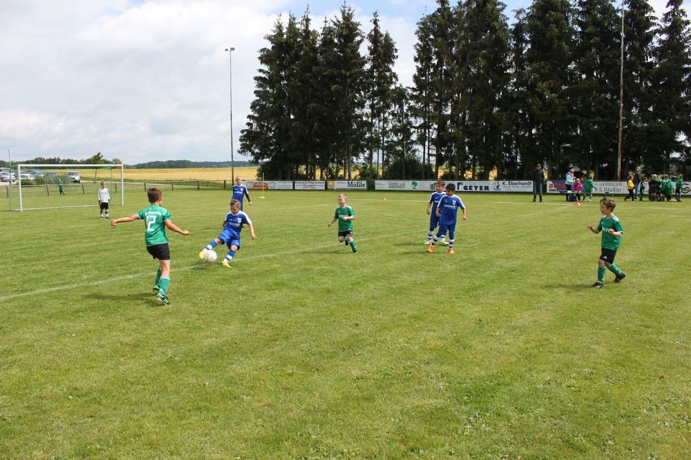 2015_06_20_F-Jugend-Spieltag_Asselfingen_113